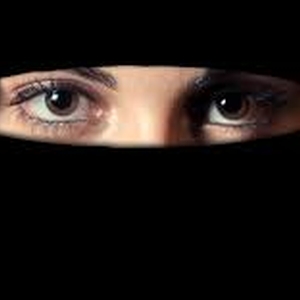 Proposed ban on face veils undermines Norway's free speech ranking