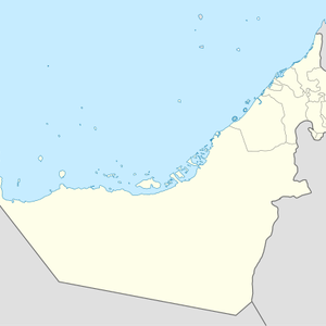 HRDs arrested and subjected to ill-treatment in UAE prisons
