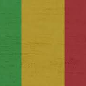 Three journalists arrested in Mali on dubious allegations then later released