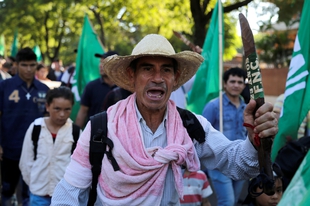 Paraguay: Violent evictions affect land rights defenders