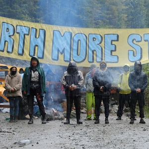 Canada: Environmental defenders face arrests and excessive force in Fairy Creek blockades