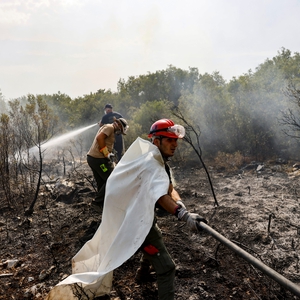 Wildfires lead to violations against journalists and free speech 