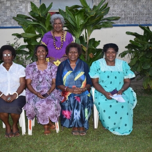 Women’s political party established by civil society call for representation in parliament