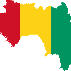 Recent protests turn violent in Guinea