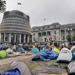 Police disrupt anti-vaccine protests at NZ parliament while journalists face threats