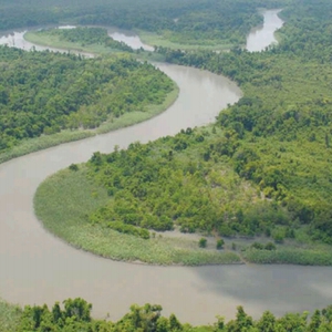 Advocacy groups and activists continue campaign against mining projects in PNG despite threats