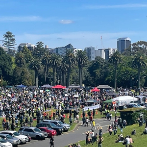 Multiple anti-lockdown protests organised in NZ; government consults on hate speech laws