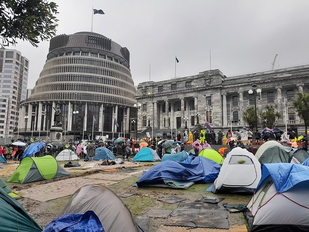 Police disrupt anti-vaccine protests at NZ parliament while journalists face threats