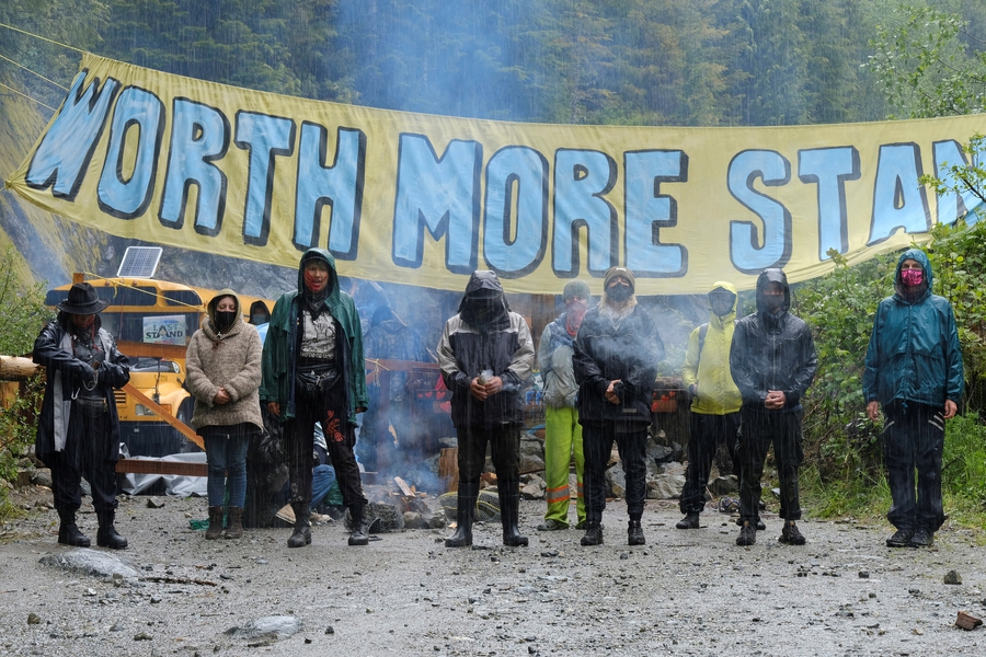Canada: Environmental defenders face arrests and excessive force in Fairy Creek blockades