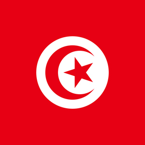Interview: Tunisian activist speaks about civic actions against controversial bill