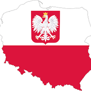 State continues to constrict civic space but Polish civil society pushes back