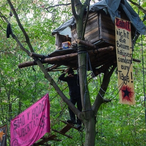 Police use force to remove anti-coal mining protestors in German forest