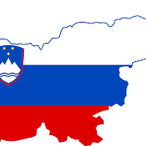 Concerns over public vilification of civil society in Slovenia