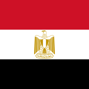 Egyptian authorities forcibly shut down NGO supporting victims of torture and violence