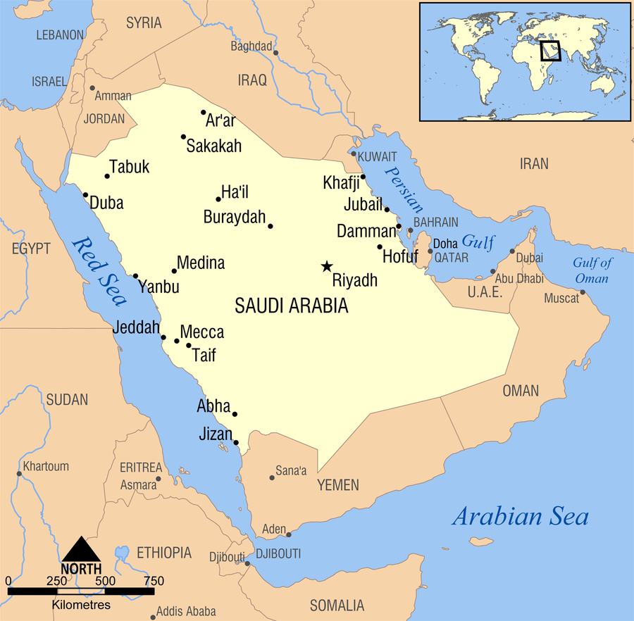 Human rights organisations continued to call for the suspension of Saudi Arabia from the UN HRC