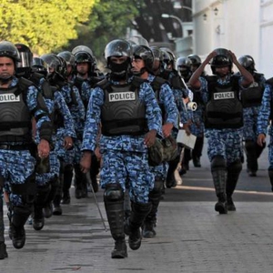 Restrictions and attacks on journalists, protesters; reprisals against activists in the Maldives