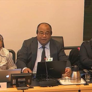 UN rights committee questions Tonga on freedom of expression for children