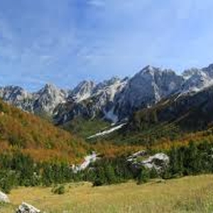 Environmental concerns drive protests in Albania